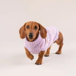 Alqo Wasi Hunde-Pullover Lavender Sunrise -Wuff Wohnen Verkäufe Lavender Sunrise 2