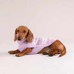 Alqo Wasi Hunde-Pullover Lavender Sunrise -Wuff Wohnen Verkäufe Lavender Sunrise 7
