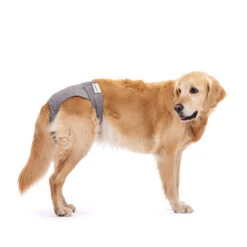 Lill's Läufigkeitshöschen Aus Bio-Baumwolle Lou Stone Grey -Wuff Wohnen Verkäufe Lills Laeufigkeitshose 011 StoneGrey gross