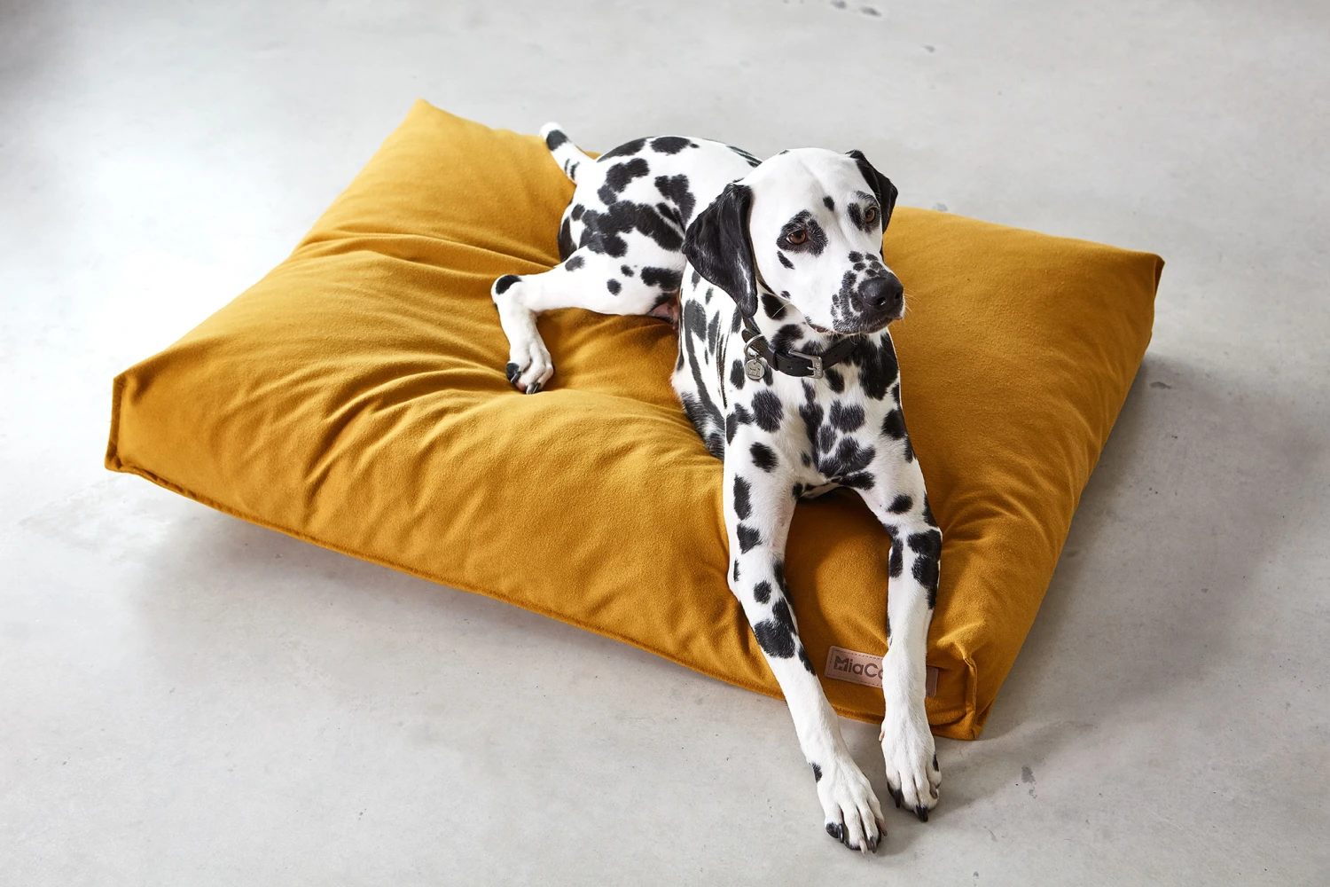 MiaCara Kissen Stella 5 MiaCara Kissen Stella – Bild 3