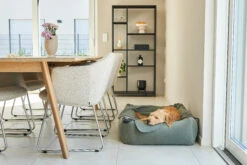 MiaCara Box-Bett Velluto Salbei -Wuff Wohnen Verkäufe MC C02 019 03 Sleep BoxBed Velluto Sage