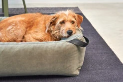 MiaCara Box-Bett Velluto Salbei -Wuff Wohnen Verkäufe MC C02 019 03 Sleep BoxBed Velluto Sage3