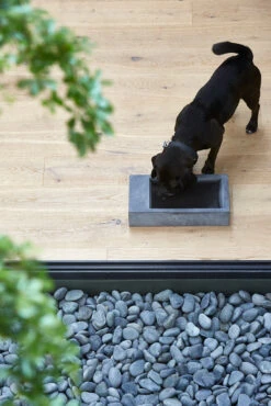 MiaCara Trogolo Wassertrog Beton 7 MiaCara Trogolo Wassertrog Beton -Wuff Wohnen Verkäufe MC C06 002 02 Eat Trogolo 354