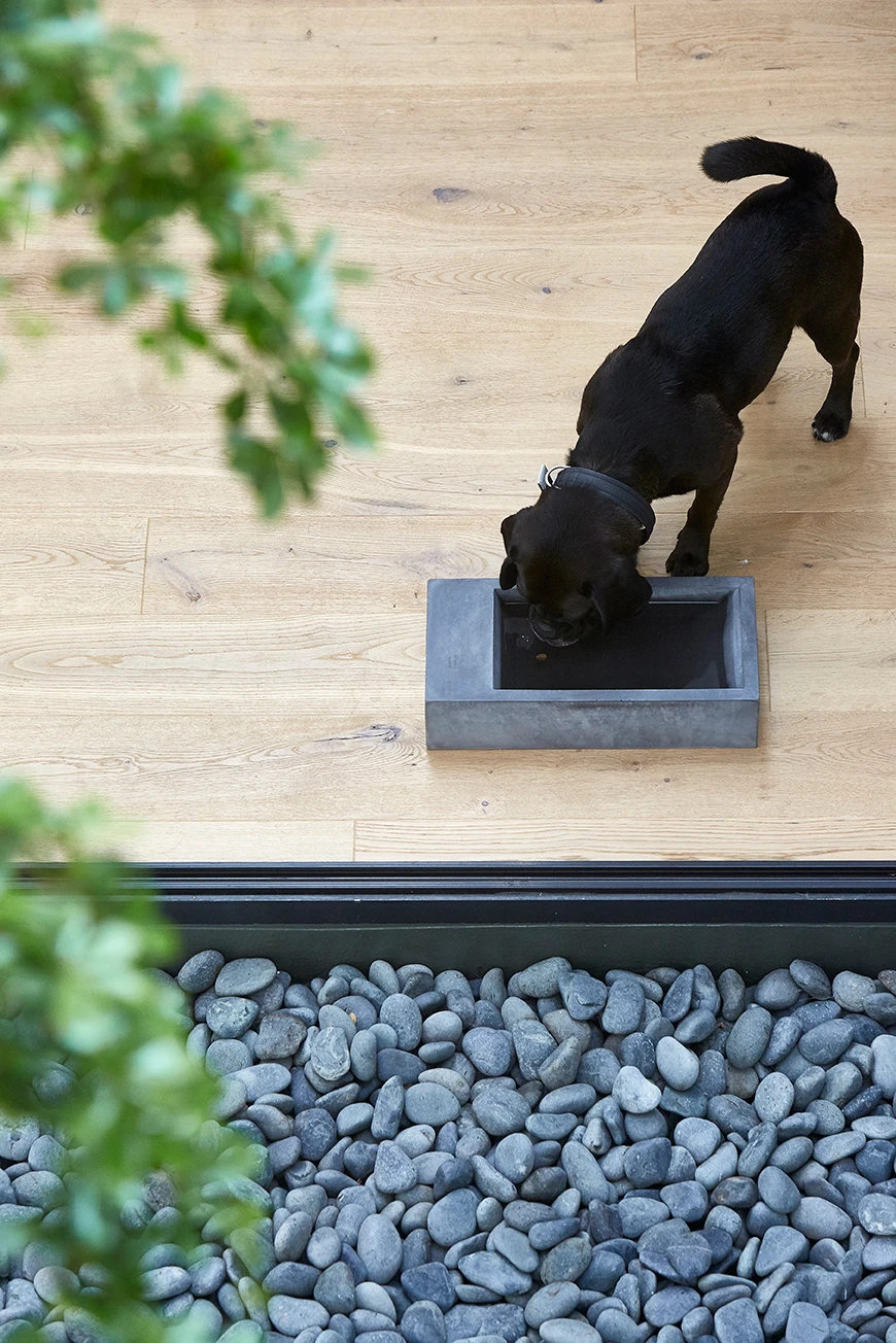 MiaCara Trogolo Wassertrog Beton 5 MiaCara Trogolo Wassertrog Beton – Bild 3