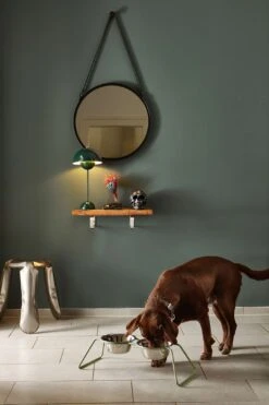 MiaCara Napfständer Cena, Pulverbeschichtet 10 MiaCara Napfständer Cena, Pulverbeschichtet -Wuff Wohnen Verkäufe MC C06 006 02 M Eat Cena Dusty Green Kaestner 2912