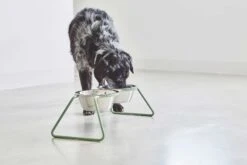 MiaCara Napfständer Cena, Pulverbeschichtet 11 MiaCara Napfständer Cena, Pulverbeschichtet -Wuff Wohnen Verkäufe MC C06 006 02 M Eat Cena Dusty Green Molly 1 905