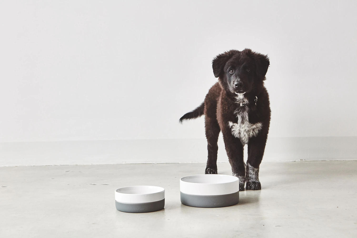 MiaCara Napf Coppa 4 MiaCara Napf Coppa – Bild 2