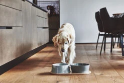 MiaCara Napf-Set Doppio -Wuff Wohnen Verkäufe MC C06 009 03 ML Eat Doppio Concrete Fly 215