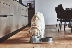 MiaCara Napf-Set Doppio -Wuff Wohnen Verkäufe MC C06 009 03 ML Eat Doppio Concrete Fly 218