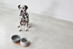 MiaCara Napf-Set Doppio -Wuff Wohnen Verkäufe MC C06 009 03 ML Eat Doppio Concrete Penny 890