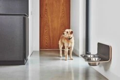 MiaCara Wand-Napf Arco Grau -Wuff Wohnen Verkäufe MC C06 011 01 M Eat Arco dog feeder HPL Grey Hugo 034