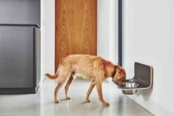 MiaCara Wand-Napf Arco Grau -Wuff Wohnen Verkäufe MC C06 011 01 M Eat Arco dog feeder HPL Grey Hugo 056