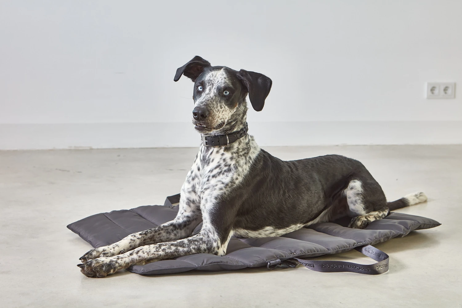 MiaCara TravelBed Strada Asphalt 6 MiaCara TravelBed Strada Asphalt – Bild 4