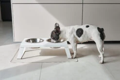 MiaCara Napfunterlage Tova Greige -Wuff Wohnen Verkäufe MC C13 020 01 Eat Placemat Tova Greige Emma1