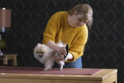 Moser Prima -Wuff Wohnen Verkäufe MOSER Pfotenpflege 0295.jpg 36162