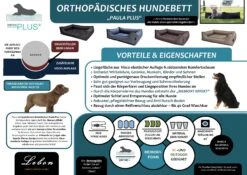 Lebon Hundebett Paula Ortho-PLUS -Wuff Wohnen Verkäufe POSTER20PAULA20ORTHO20 20NEU20PLUS202020