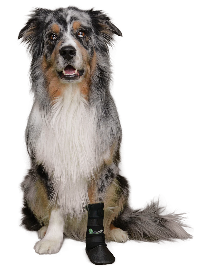 Petlando Vetlando Pfotenschutzschuh 2er Pack 4 Petlando Vetlando Pfotenschutzschuh 2er Pack – Bild 2