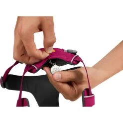 Ruffwear Front Range Harness Hibiscus Pink -Wuff Wohnen Verkäufe Ruffwear20Front20Range20Harness20hibiscus20pink2006