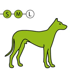 Moser Rex Schwarz 13 Moser Rex Schwarz -Wuff Wohnen Verkäufe SM vollchur 19404