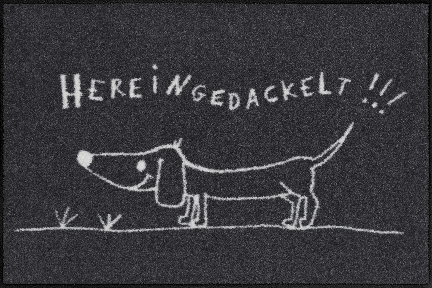 Salonlöwe Fußmatte Hereingedackelt 50x75cm 3 Salonlöwe Fußmatte Hereingedackelt 50x75cm