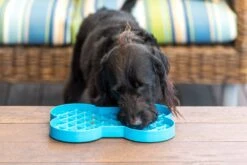 LickiMat Slodog Cyan 35x26cm -Wuff Wohnen Verkäufe SlodogBlue 2 1024x1024