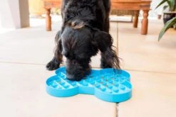 LickiMat Slodog Cyan 35x26cm -Wuff Wohnen Verkäufe SlodogBlue 4 1024x1024