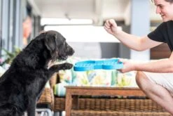 LickiMat Slodog Cyan 35x26cm -Wuff Wohnen Verkäufe SlodogBlue 5 1024x1024