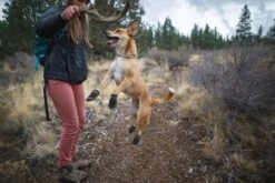 Ruffwear Summit Trex - Box Of 2 - Pairs Twilight Gray -Wuff Wohnen Verkäufe Summit Trex Boots TwilightGray x1024