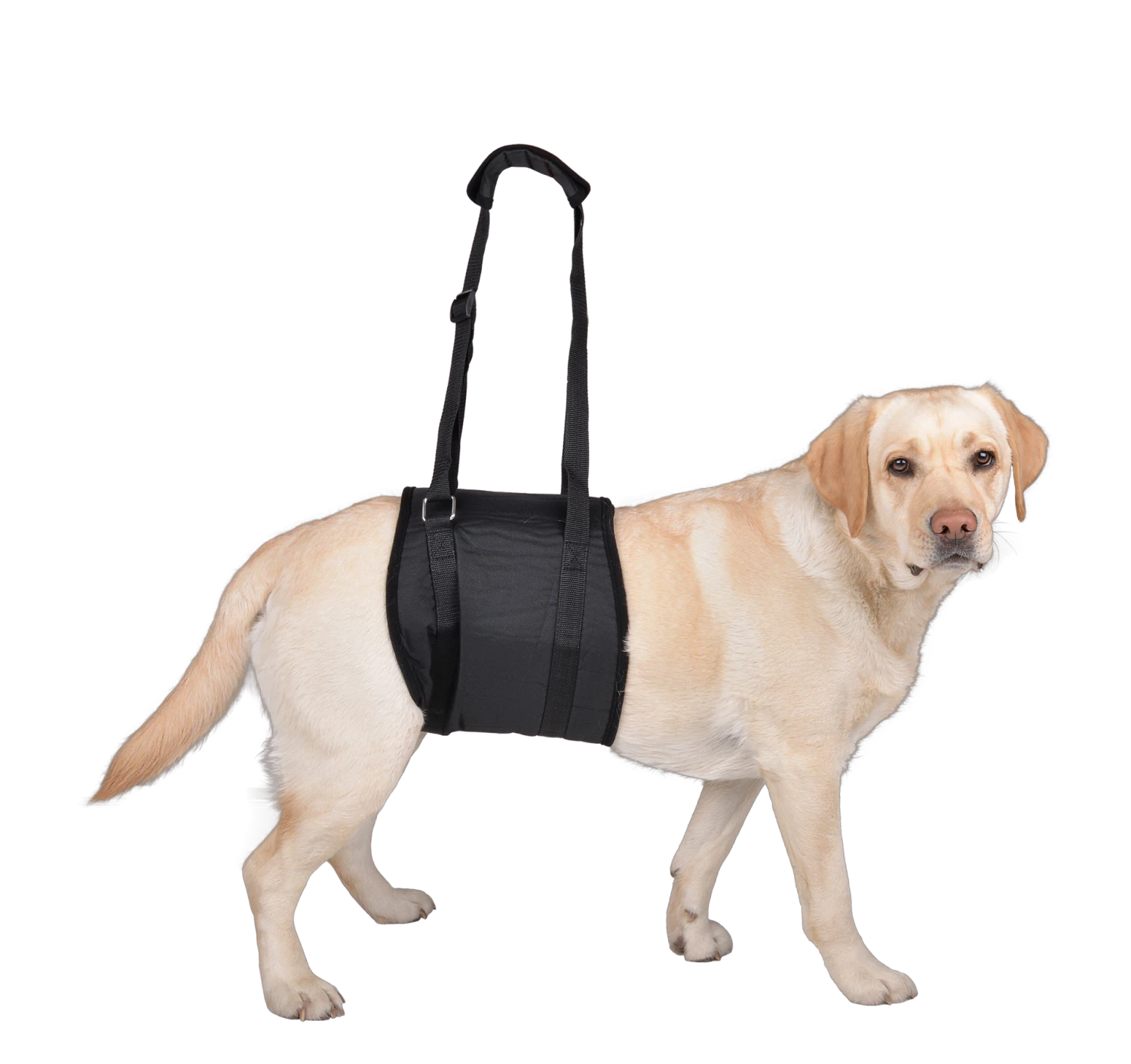 Petlando Vetlando Tragehilfe Schwarz 4 Petlando Vetlando Tragehilfe Schwarz – Bild 2