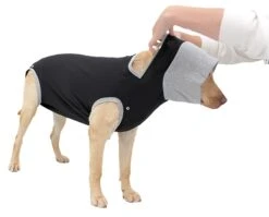 Petlando Vetlando Post OP Body Schwarz -Wuff Wohnen Verkäufe VL PRD Post OP Ansicht oben schwarz Detail Kragen RGB 900px