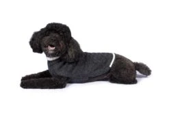 Alqo Wasi Hunde-Pullover Varsity Cable -Wuff Wohnen Verkäufe VariC2A1sity chacoal alqo wasi05