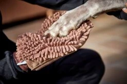 Wolters Dirty Dog Grooming Mitt 7 Wolters Dirty Dog Grooming Mitt -Wuff Wohnen Verkäufe WOLTERS Dirty Dog Grooming Mitt web 28129