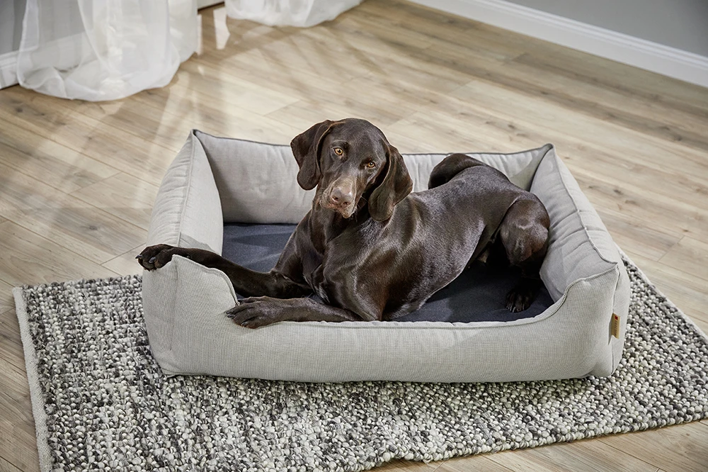 Wolters Dog Lounge Noble Stripes 6 Wolters Dog Lounge Noble Stripes – Bild 4