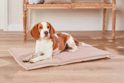 Wolters To-Go Reise Pad Comfort -Wuff Wohnen Verkäufe WOLTERS Pressebild To Go Reise Pad Comfort champ II web