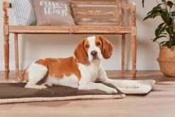 Wolters To-Go Reise Pad Comfort -Wuff Wohnen Verkäufe WOLTERS Pressebild To Go Reise Pad Comfort trC3BCffel II web