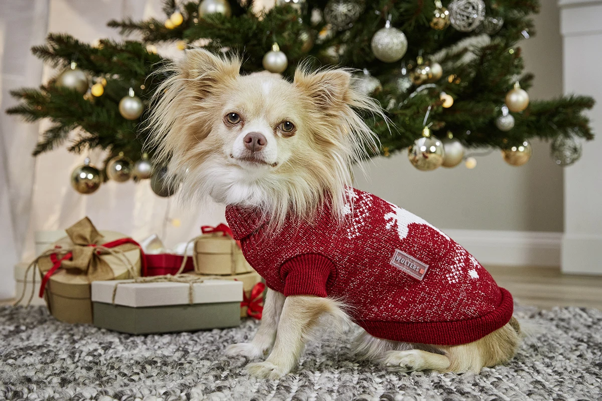 Wolters Strickpullover Elch Mit Glitzer 4 Wolters Strickpullover Elch Mit Glitzer – Bild 2