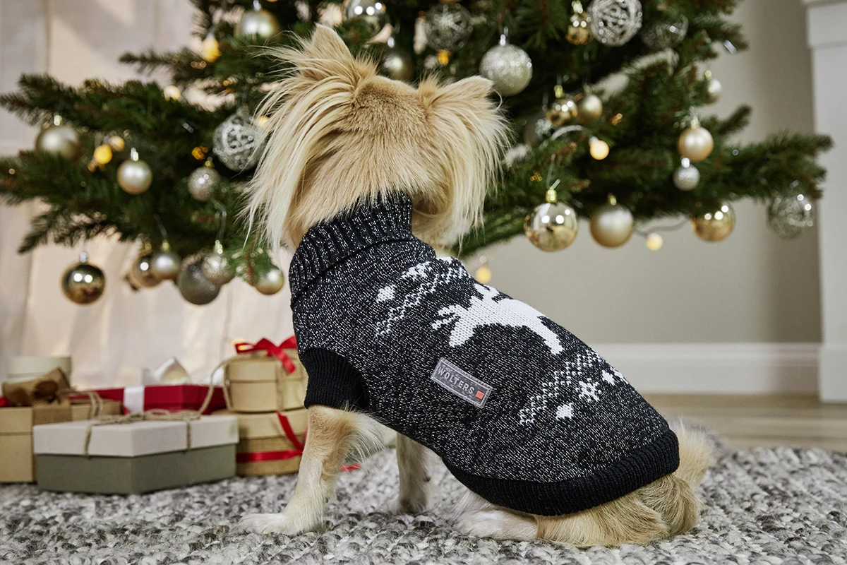 Wolters Strickpullover Elch Mit Glitzer 6 Wolters Strickpullover Elch Mit Glitzer – Bild 4