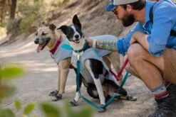 Ruffwear Front Range Collar -Wuff Wohnen Verkäufe Web 05402 Swamp Cooler Graphite Gray Big Eddy 10