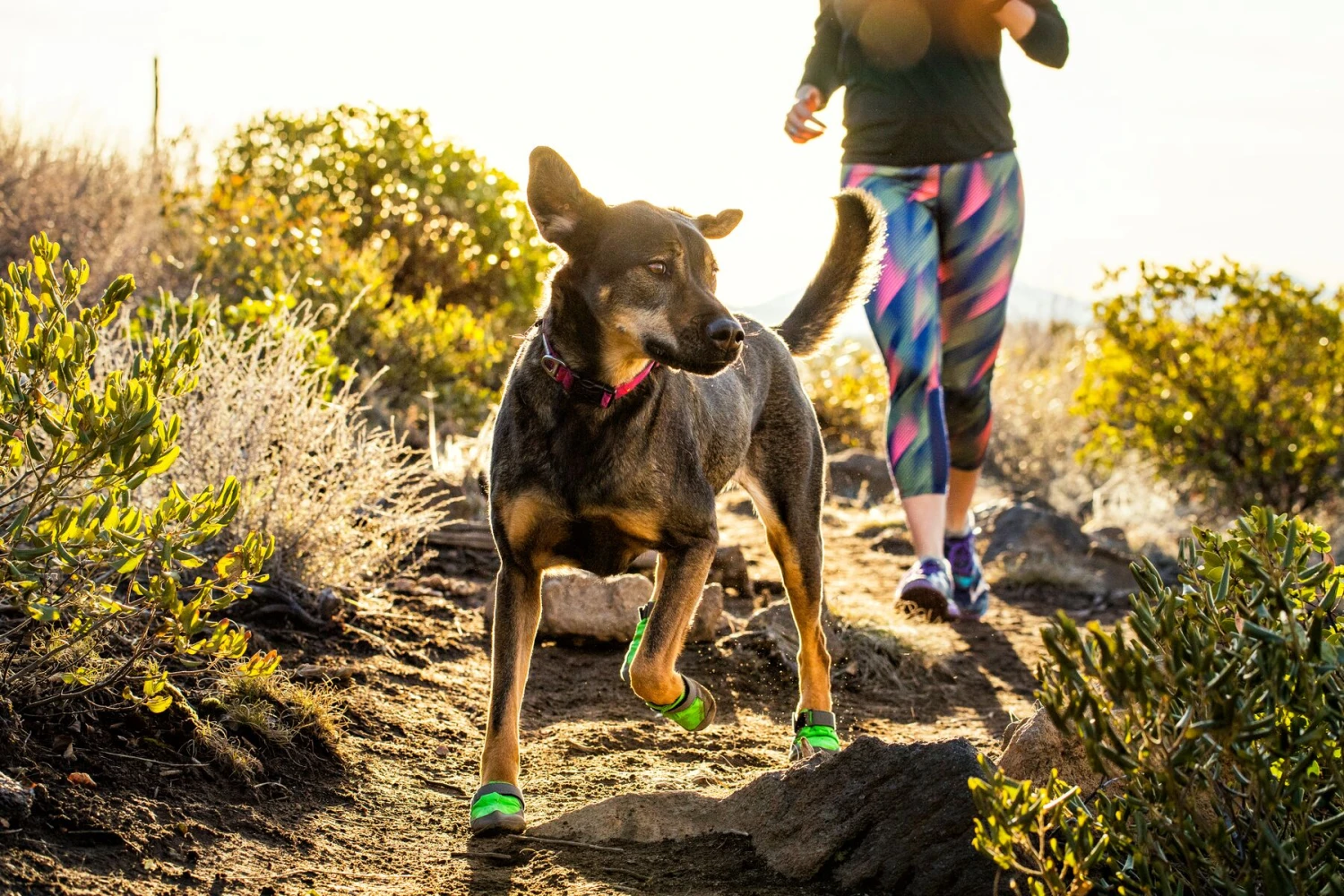 Ruffwear Summit Trex - Box Of 2 - Pairs Meadow Green 8 Ruffwear Summit Trex - Box Of 2 - Pairs Meadow Green – Bild 6