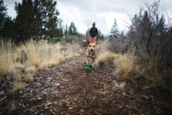 Ruffwear Summit Trex - Box Of 2 - Pairs Meadow Green 12 Ruffwear Summit Trex - Box Of 2 - Pairs Meadow Green -Wuff Wohnen Verkäufe Web 15401 Summit Trex Meadow Green Walking 02