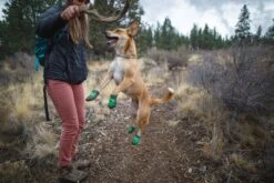 Ruffwear Summit Trex - Box Of 2 - Pairs Meadow Green 11 Ruffwear Summit Trex - Box Of 2 - Pairs Meadow Green -Wuff Wohnen Verkäufe Web 15401 Summit Trex Meadow Green Walking 03