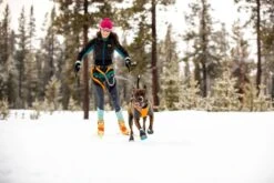 RuffWear Polar Trex™ (2er Set) -Wuff Wohnen Verkäufe Web P15302 Polar Trex Obsidian Black Juniper Skiing 40 1024x1024