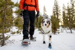 RuffWear Polar Trex™ (2er Set) -Wuff Wohnen Verkäufe Web P15302 Polar Trex Obsidian Black Winston Snowshoeing 7 1024x1024