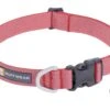 RuffWear Hi & Light™ Collar -Wuff Wohnen Verkäufe Web20JPG 2555 Hi And Light Collar Salmon Pink STUDIO