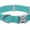 RuffWear Confluence™ Collar -Wuff Wohnen Verkäufe Web20JPG 2585 Confluence Collar Aurora Teal Buckle STUDIO
