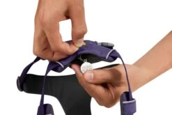 RuffWear Front Range® Harness Purple Sage -Wuff Wohnen Verkäufe Web20JPG 30502 Front Range Harness Purple Sage ID Tag STUDIO