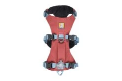 RuffWear Flagline™ Harness Salmon Pink -Wuff Wohnen Verkäufe Web20JPG 30551 Flagline Harness Salmon Pink Overhead Beacon STUDIO