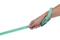 RuffWear Flagline™ Leash Sage Green -Wuff Wohnen Verkäufe Web20JPG 4095 Flagline Leash Mint Green Wrist STUDIO