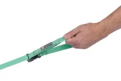 RuffWear Flagline™ Leash Sage Green -Wuff Wohnen Verkäufe Web20JPG 4095 Flagline Leash Sage Green Hand STUDIO