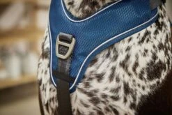 Wolters Geschirr Active Pro Comfort -Wuff Wohnen Verkäufe Wolters Active Pro Comfort Geschirr petrol anthrazit Mood web VIII 1920x1920